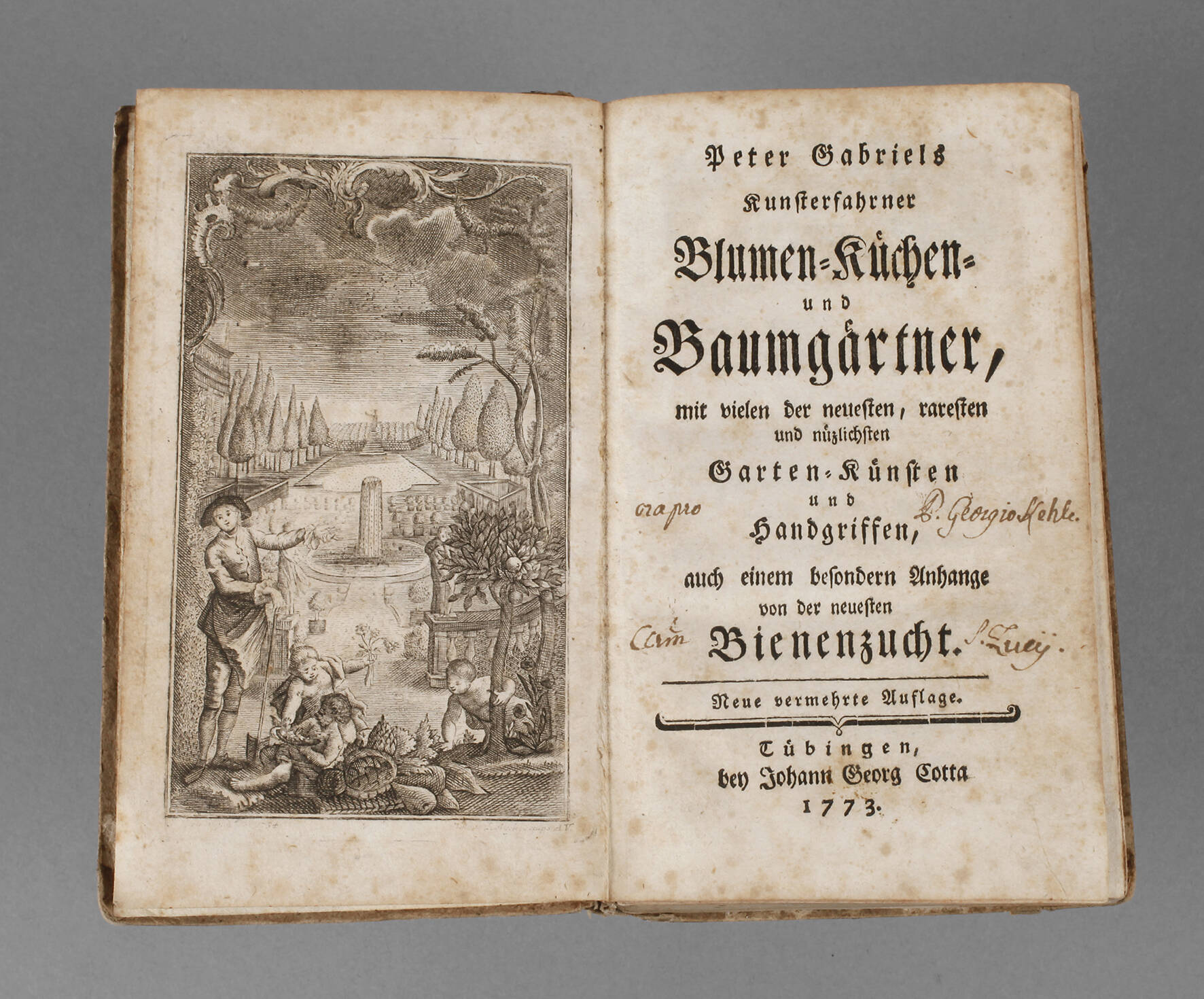 Peter Gabriels kunsterfahrner Blumen-