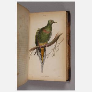 The Natural History of Pigeons