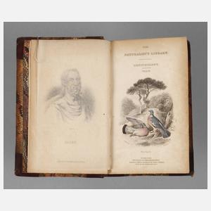 The Natural History of Pigeons