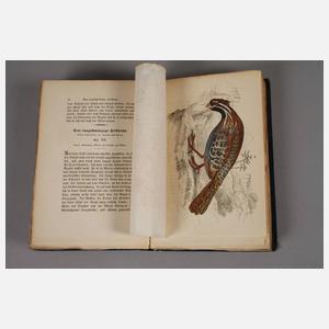 Naturgeschichtliches Cabinet des Thierreiches