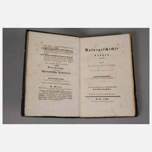 Naturgeschichtliches Cabinet des Thierreiches