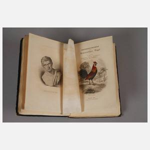 Naturgeschichtliches Cabinet des Thierreiches