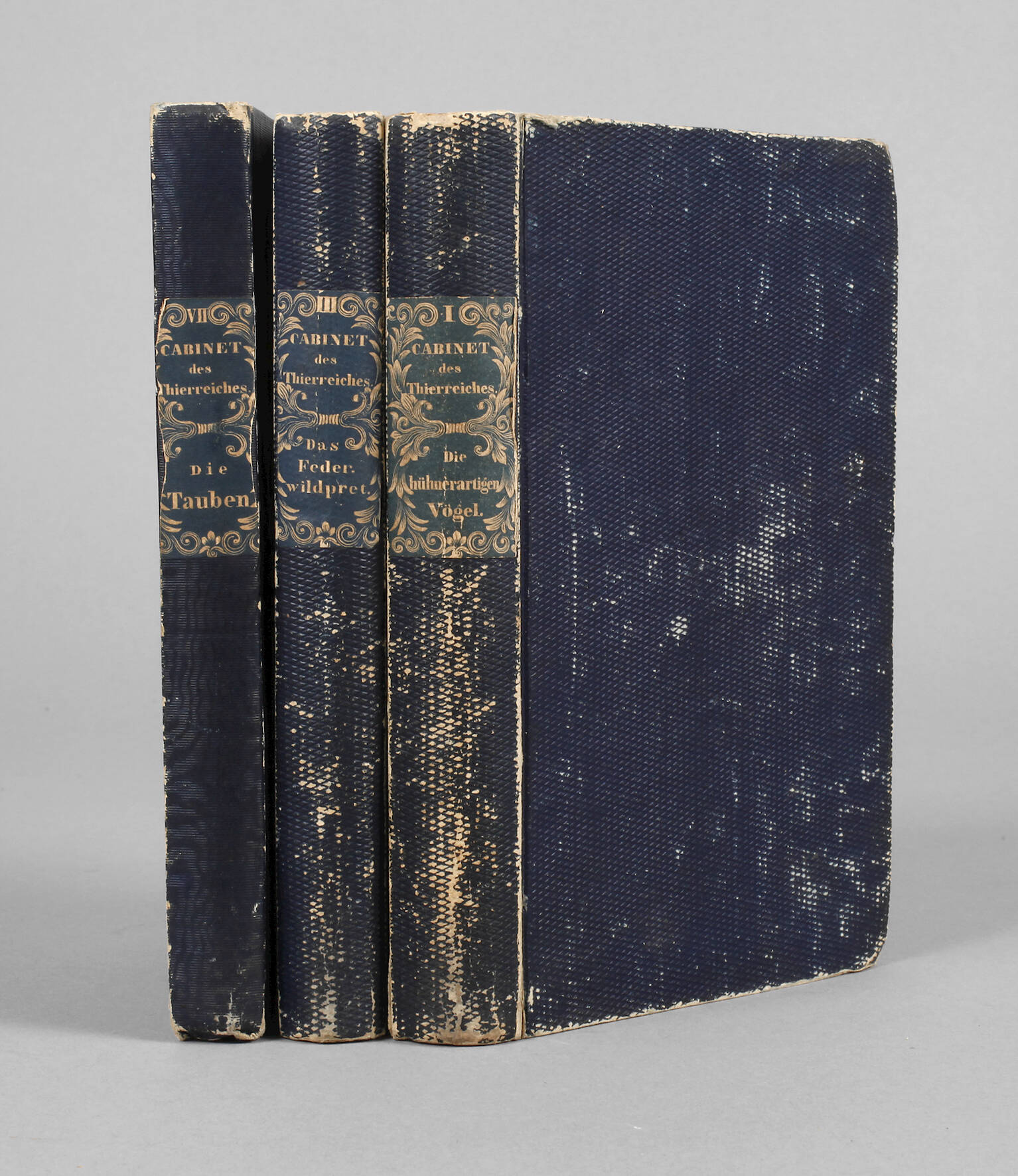 Naturgeschichtliches Cabinet des Thierreiches