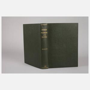 Indian Pigeons and Doves