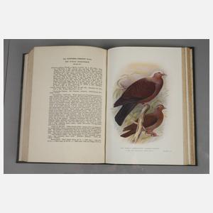 Indian Pigeons and Doves