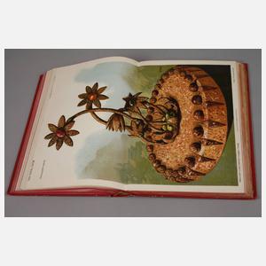 Neues illustriertes Conditoreibuch