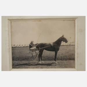 Fotografie Trabrennen