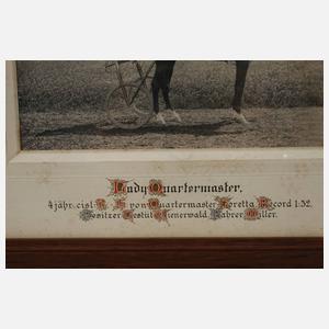 Fotografie Trabrennen