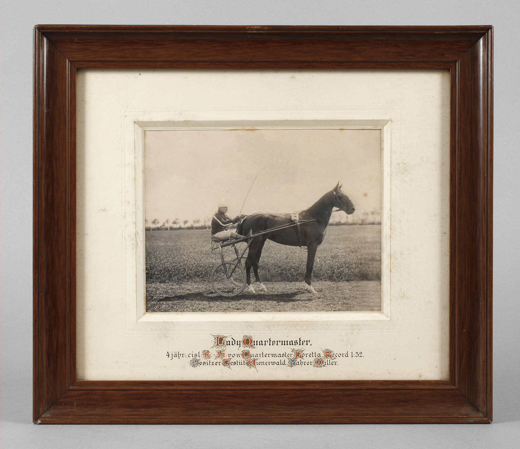 Fotografie Trabrennen