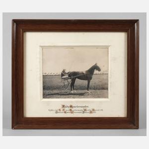 Fotografie Trabrennen