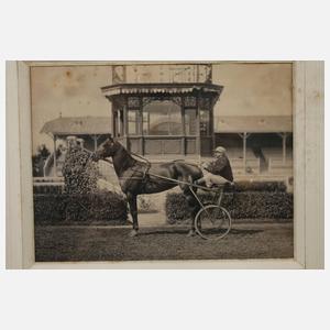 Fotografie Trabrennen