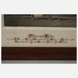 Fotografie Trabrennen