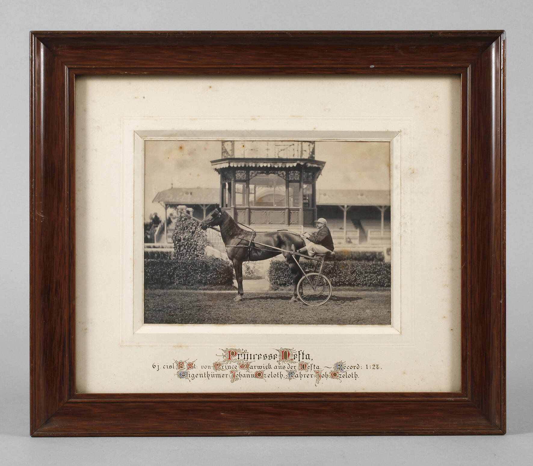 Fotografie Trabrennen