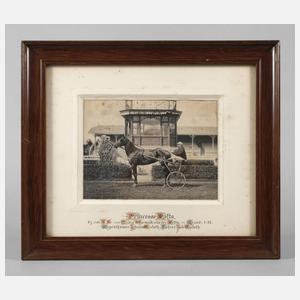 Fotografie Trabrennen