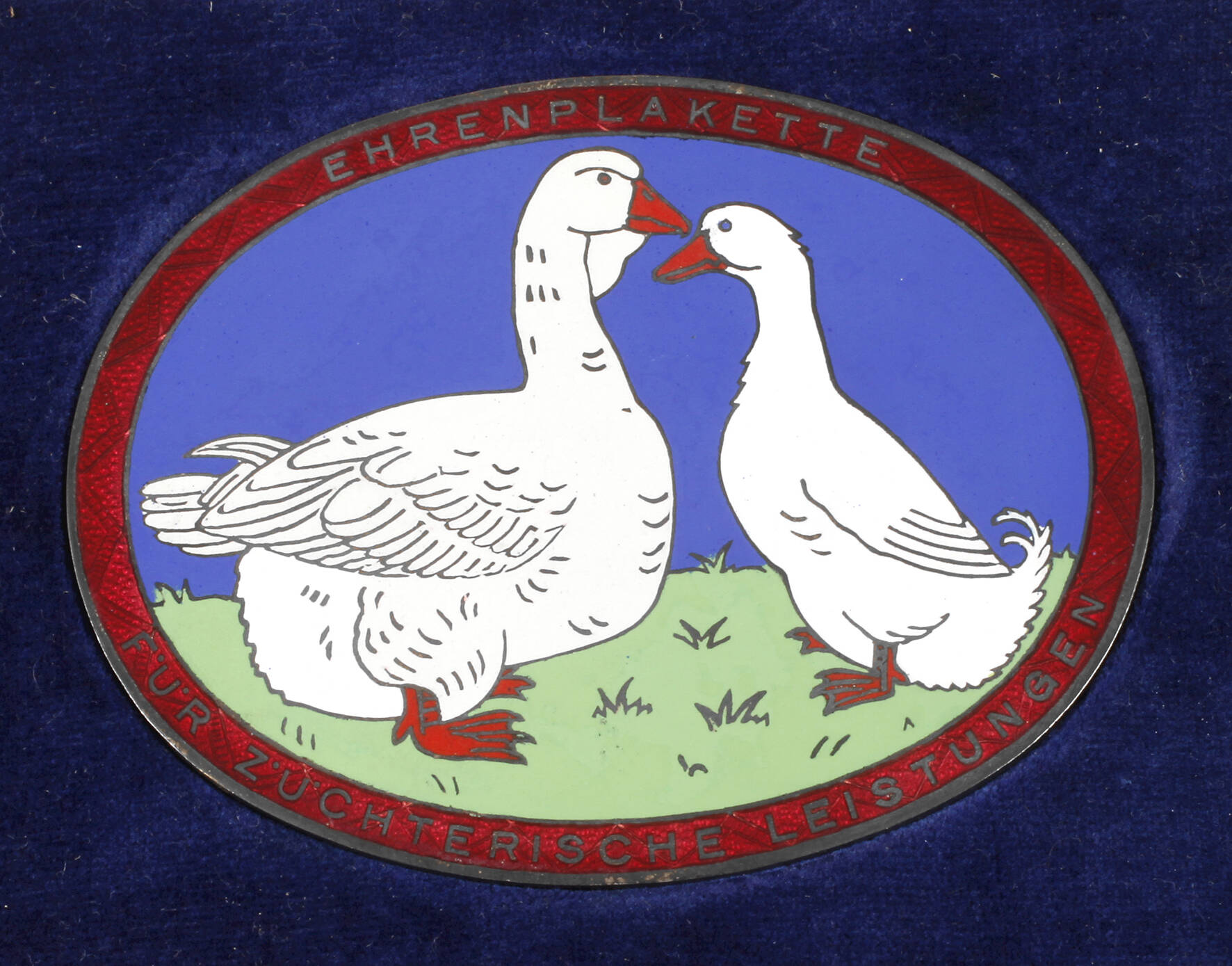 Ehrenplakette züchterische Leistungen