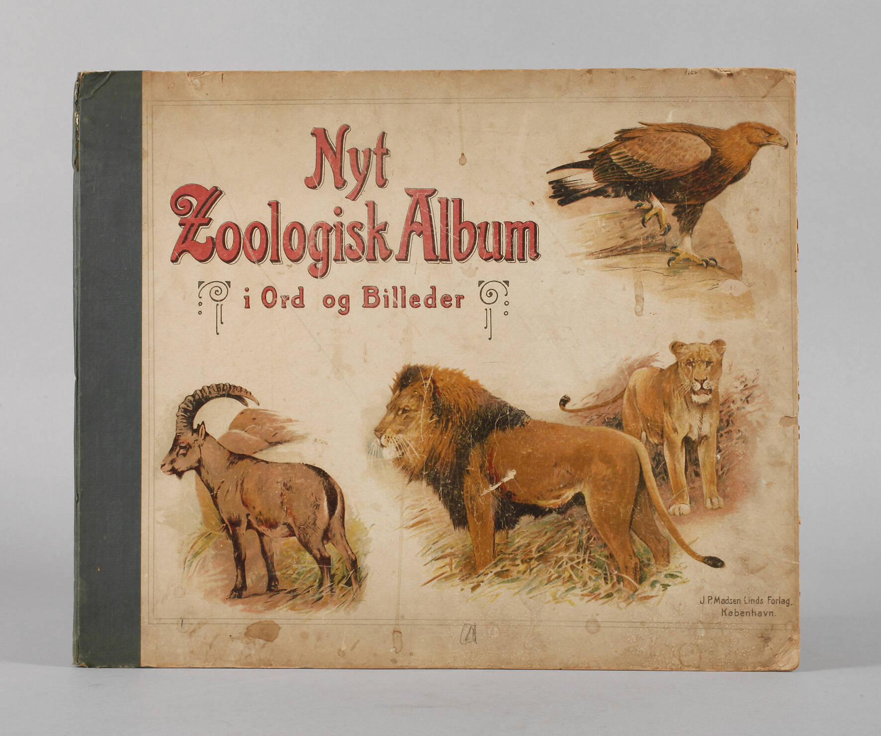 Großes zoologisches Bilderbuch