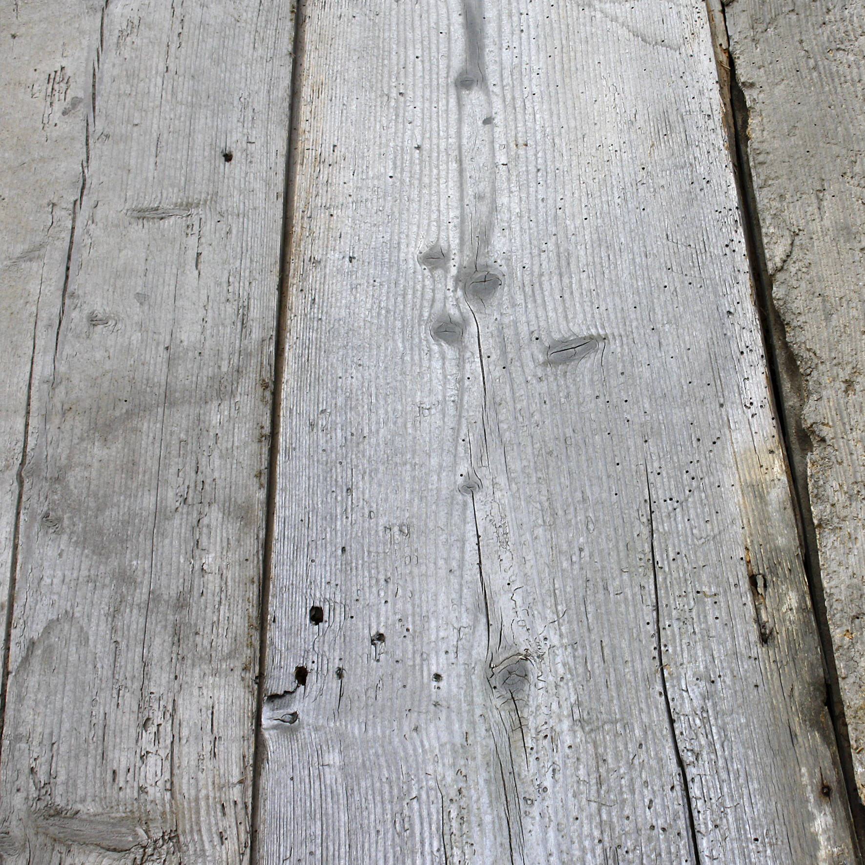 Dielenboden Nadelholz