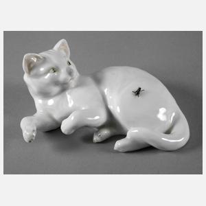 Heubach Lichte Katze mit Fliege