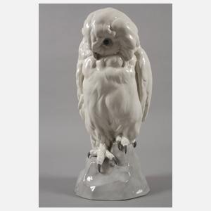 Heubach große "Schnee-Eule"