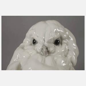 Heubach große "Schnee-Eule"