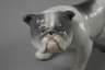 Heubach Lichte Englische Bulldogge