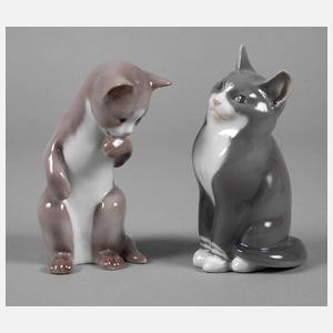 Kopenhagen zwei Katzen