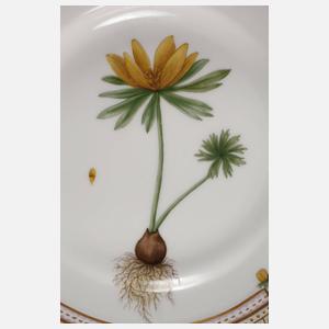 Kopenhagen Dessertteller "Flora Danica"