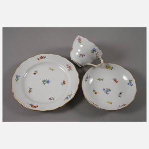 Meissen Kaffeeservice Streublümchendekor