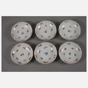 Meissen Kaffeeservice "Streublümchen"