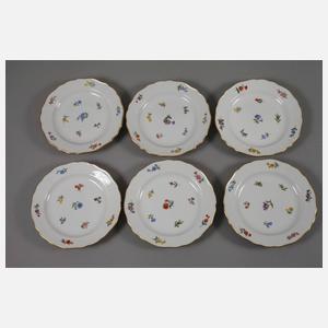 Meissen Kaffeeservice "Streublümchen"