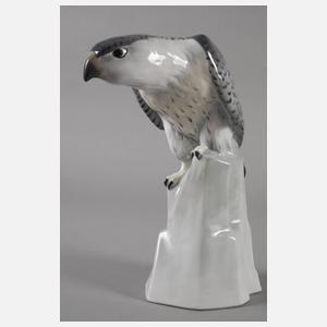 Metzler & Ortloff Ilmenau Falke