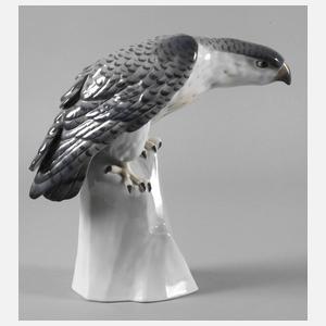 Metzler & Ortloff Ilmenau Falke