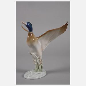 Metzler & Ortloff Ente