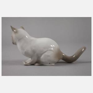 Thüringen Siamkatze