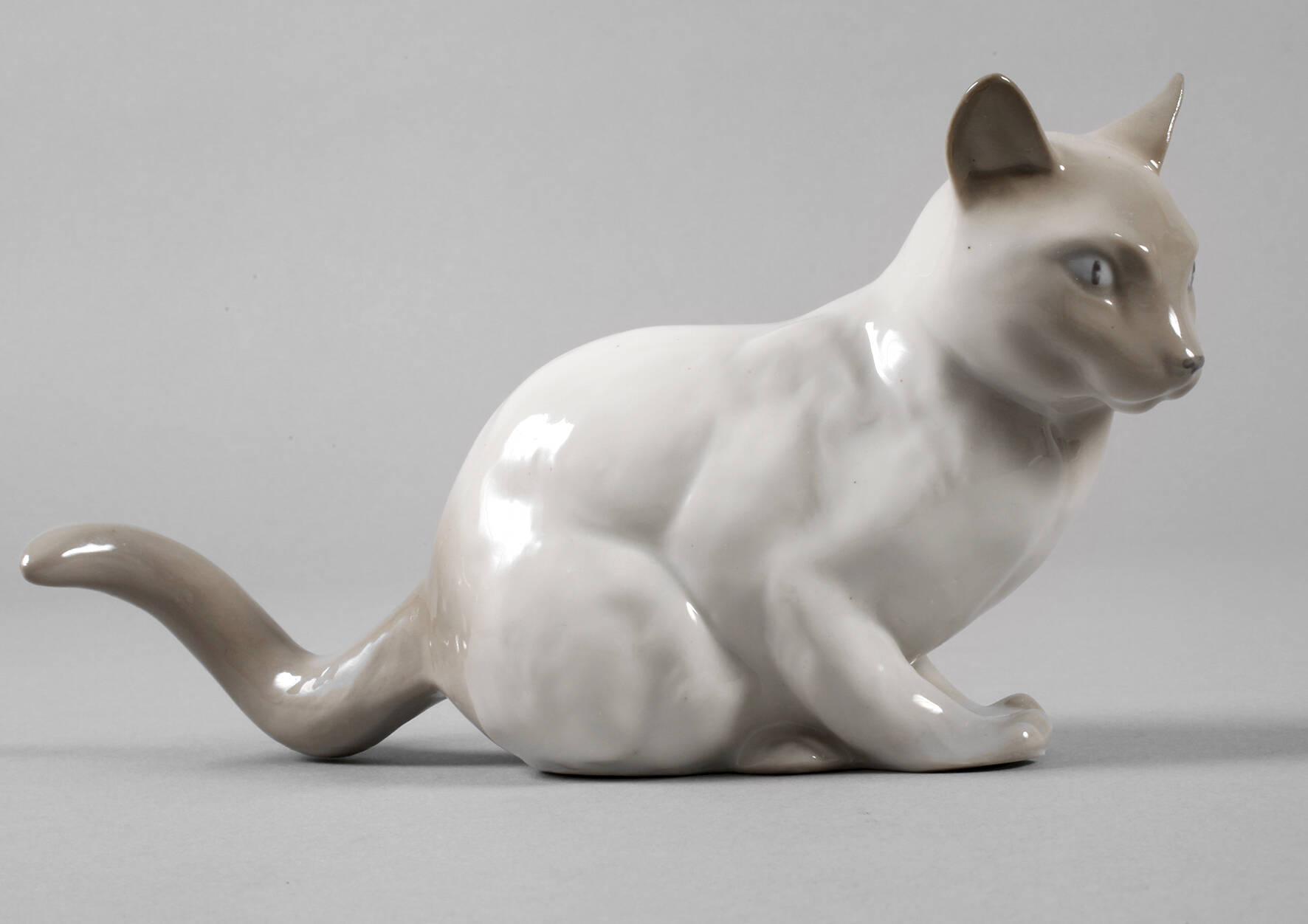 Thüringen Siamkatze