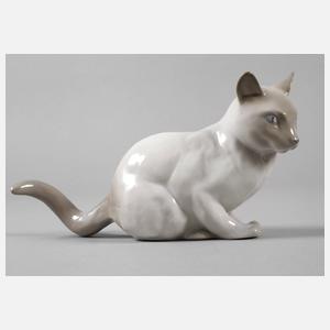 Thüringen Siamkatze