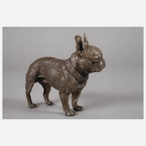 Bulldogge Bronze