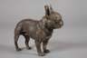 Bulldogge Bronze