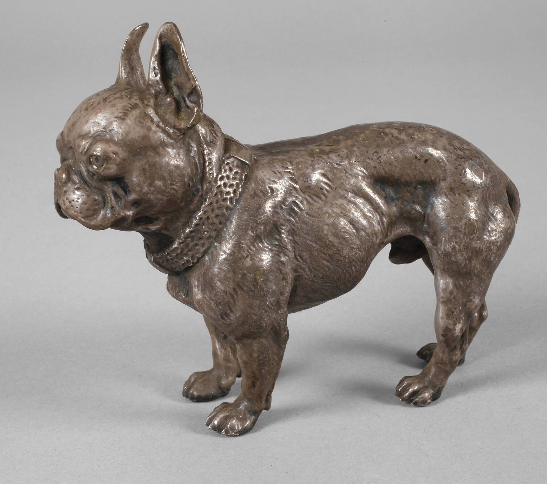 Bulldogge Bronze