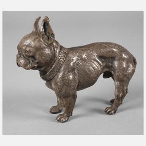 Bulldogge Bronze