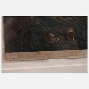 James Heath und Samuel Middiman, "Adam und Eva"