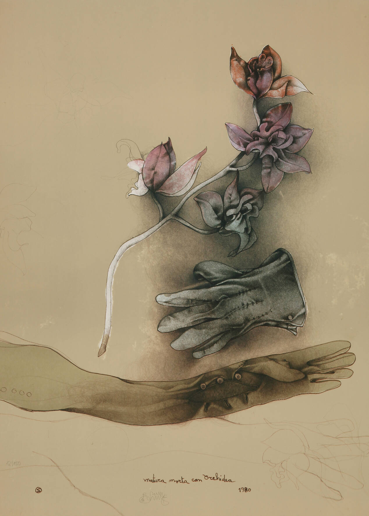 Bruno Bruni, Orchideen und Handschuhe