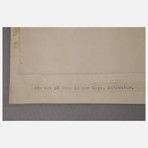 L. von Nathusius, attr., Dame in der Loge