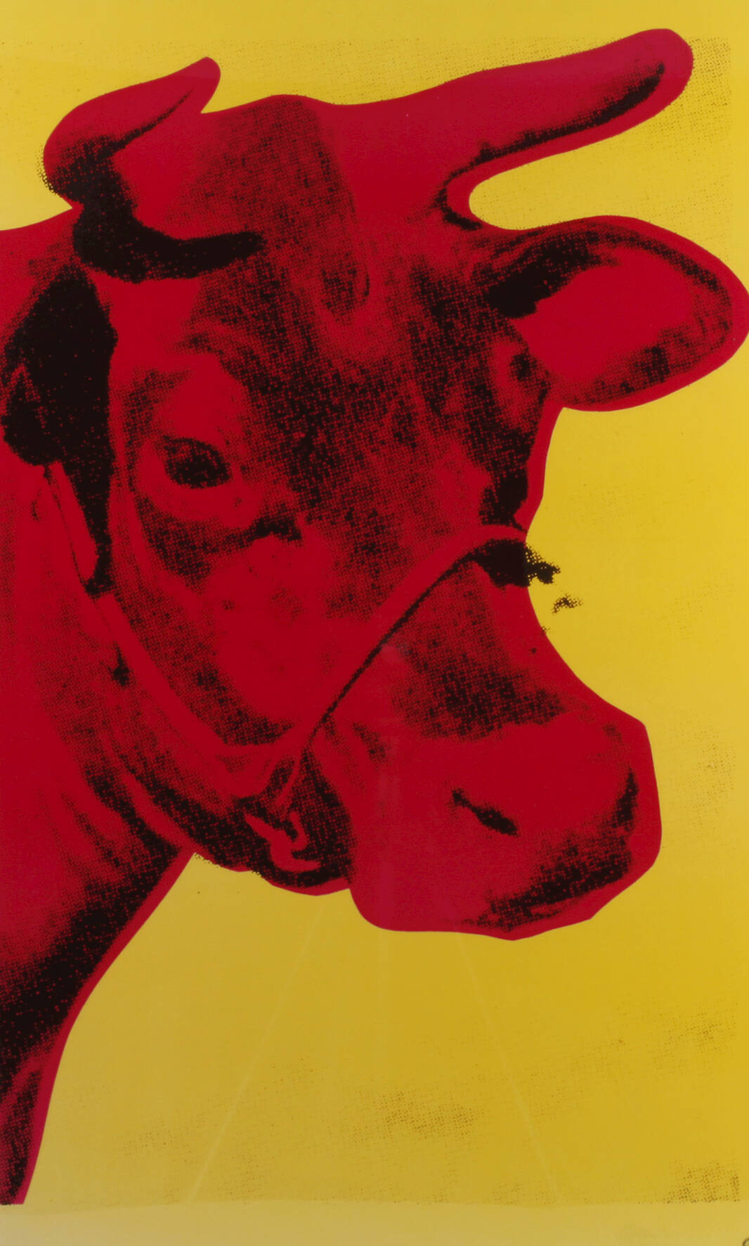 Andy Warhol, nach, "Cow"