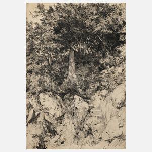 Stanislaw Witkiewicz, attr., Verborgenes Gartentor