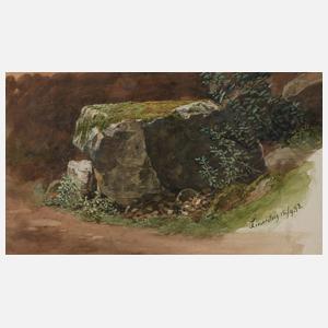 Motiv am Liesersteig in der Eifel