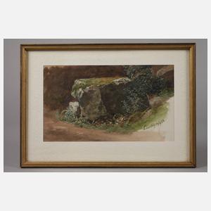 Motiv am Liesersteig in der Eifel