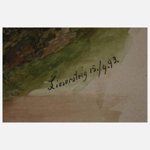 Motiv am Liesersteig in der Eifel