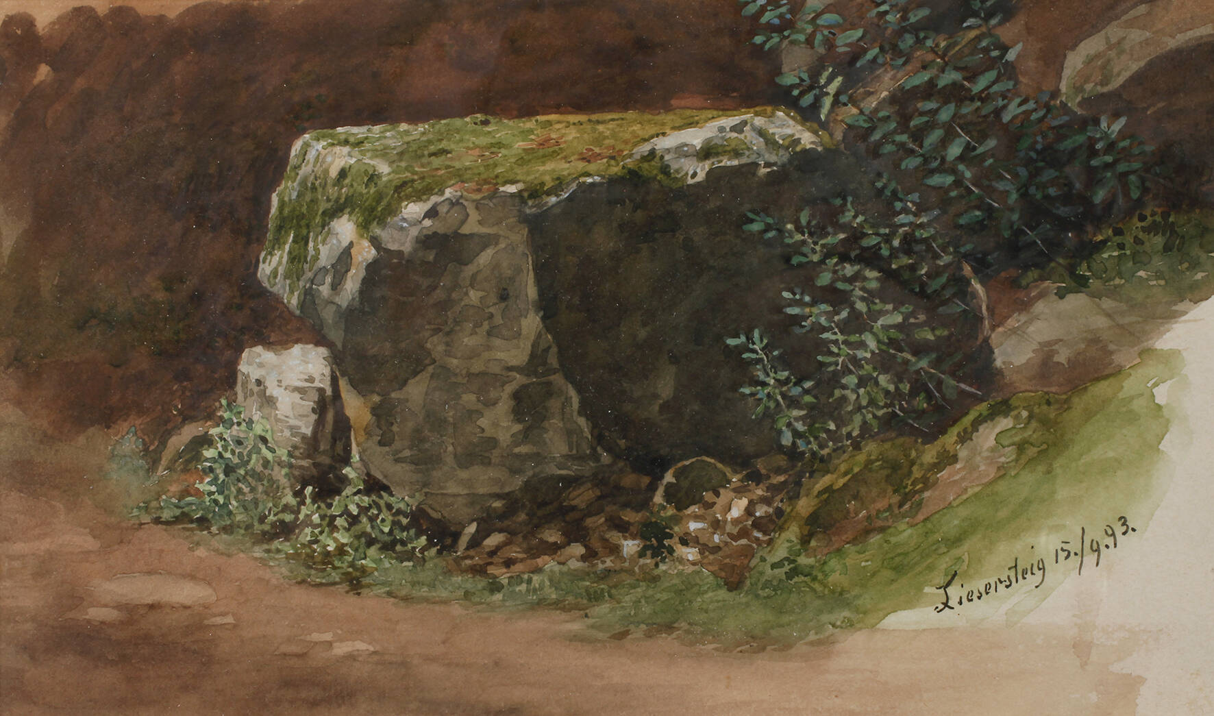 Motiv am Liesersteig in der Eifel