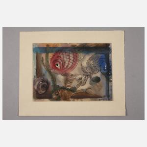 Buchty, Fische im Aquarium